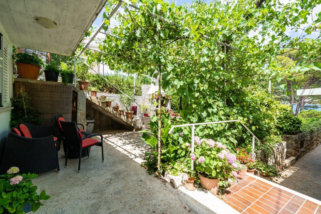 Apartments Zarac دوبروفينك المظهر الخارجي الصورة