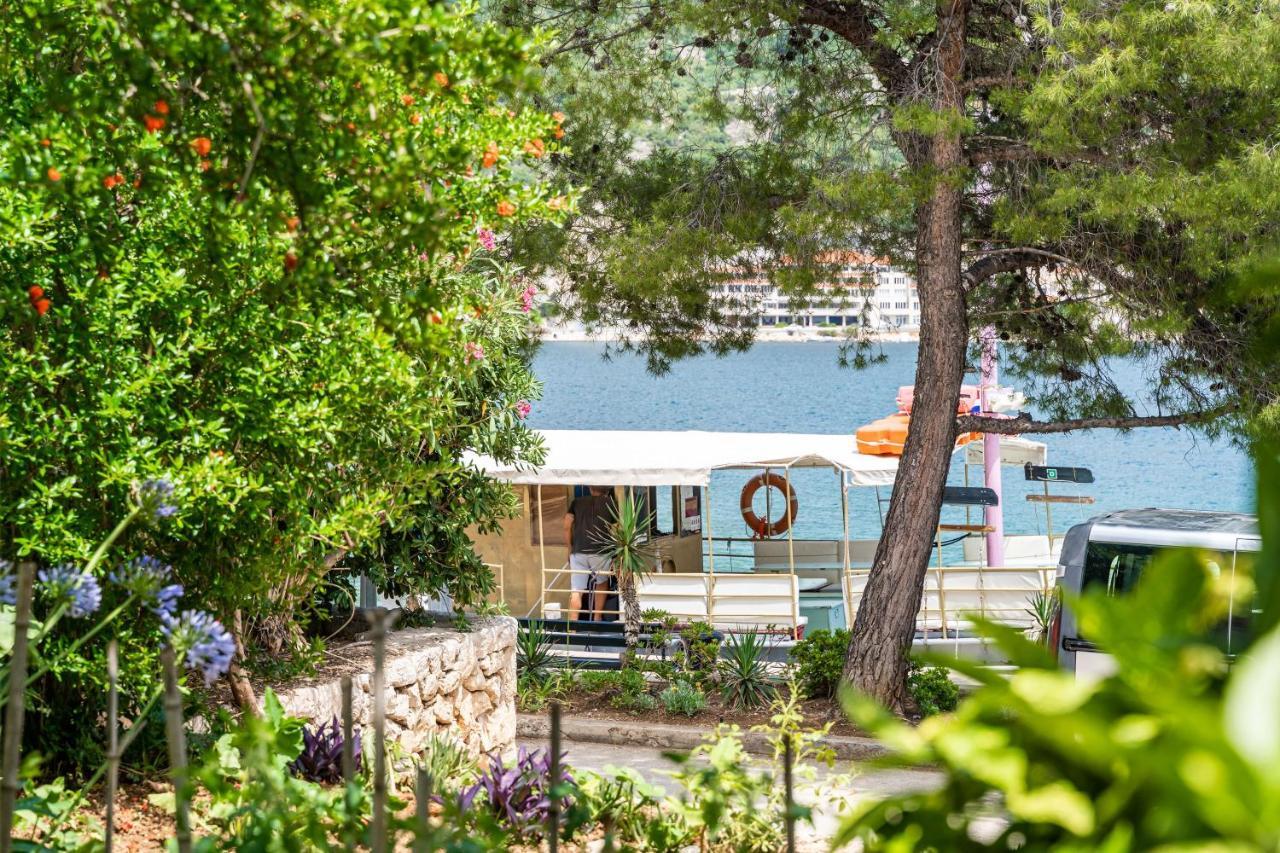 Apartments Zarac دوبروفينك المظهر الخارجي الصورة